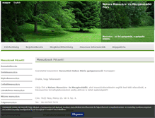Tablet Screenshot of naturamasszazs-pecs.hu